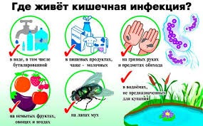 WhatsApp Image 2024 07 11 at 16.10.33