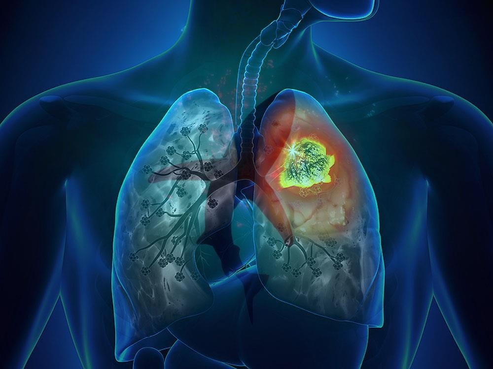 WhatsApp Image 2024 04 05 at 4.06.22 PM 1