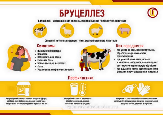 WhatsApp Image 2024 03 28 at 17.05.13