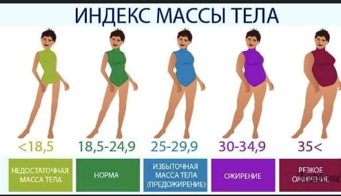 WhatsApp Image 2024 03 29 at 15.17.15