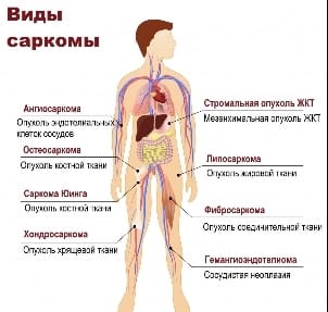 WhatsApp Image 2024 07 01 at 13.24.01