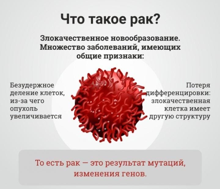 WhatsApp Image 2024 02 21 at 16.39.06