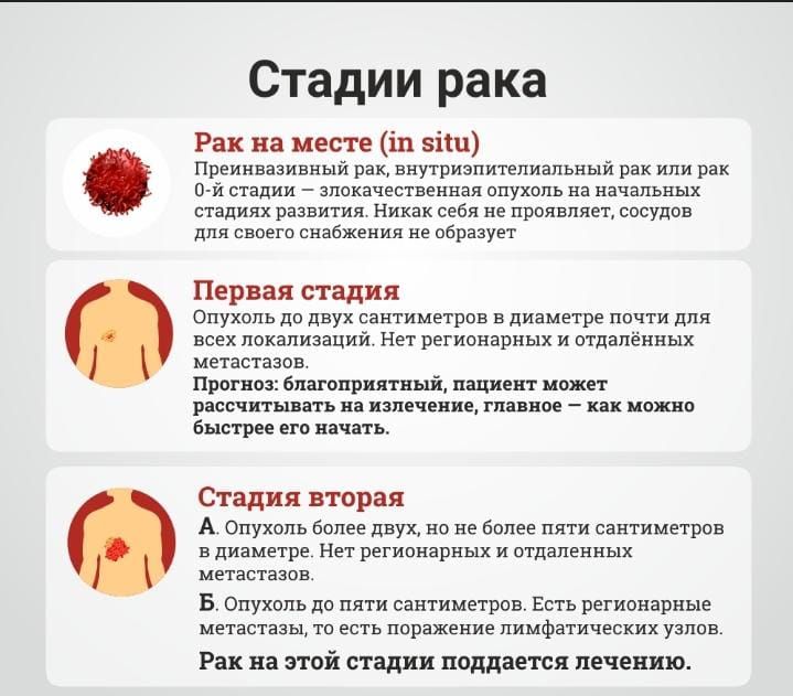 WhatsApp Image 2024 02 21 at 16.39.09