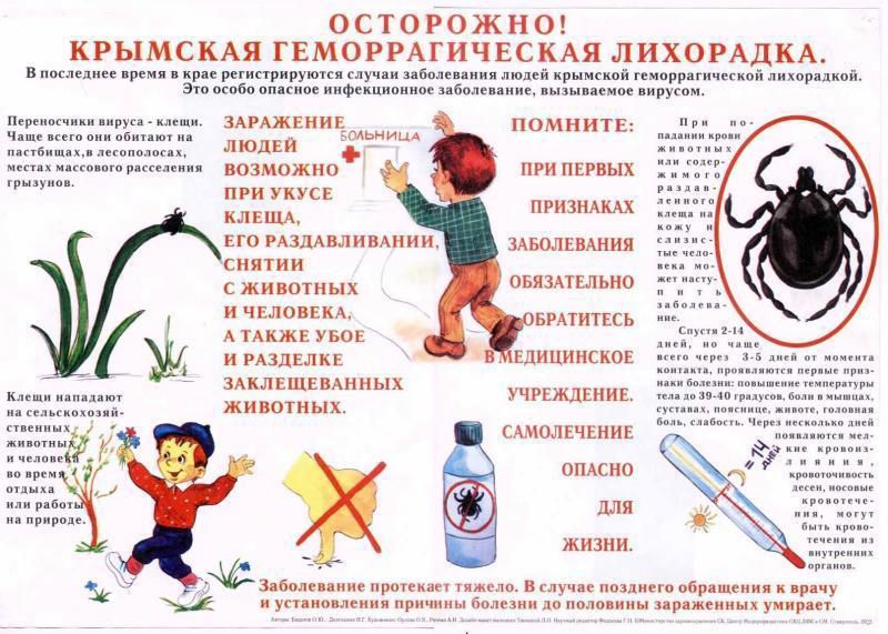 WhatsApp Image 2024 04 23 at 15.16.33 1