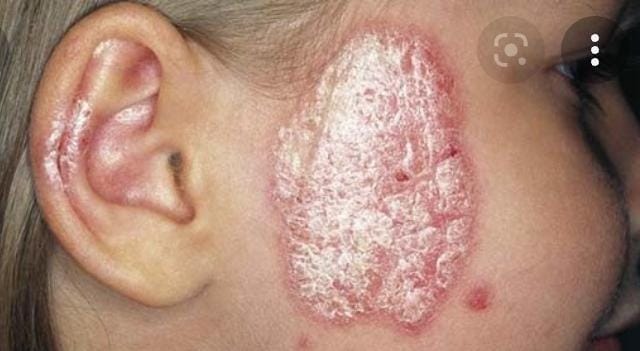 bb2b982b c768 4d47 a6ba a5e47f78900c