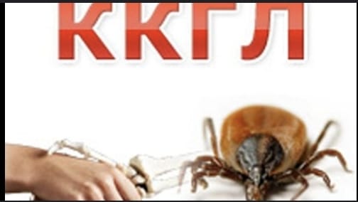 WhatsApp Image 2024-04-30 at 12.41.37.jpeg