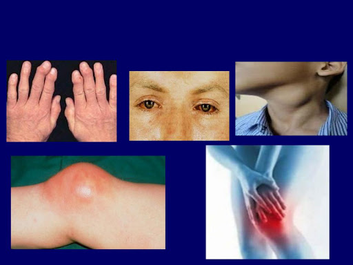 WhatsApp Image 2024-06-06 at 17.16.01.jpeg