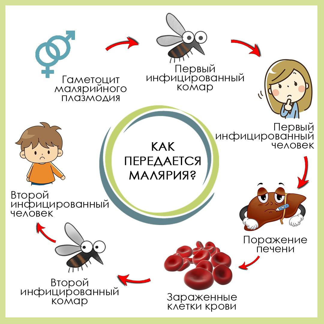 WhatsApp Image 2024-06-20 at 12.47.06.jpeg