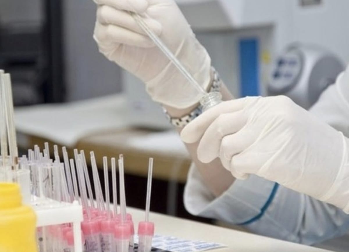 WhatsApp Image 2024-06-29 at 00.38.46.jpeg