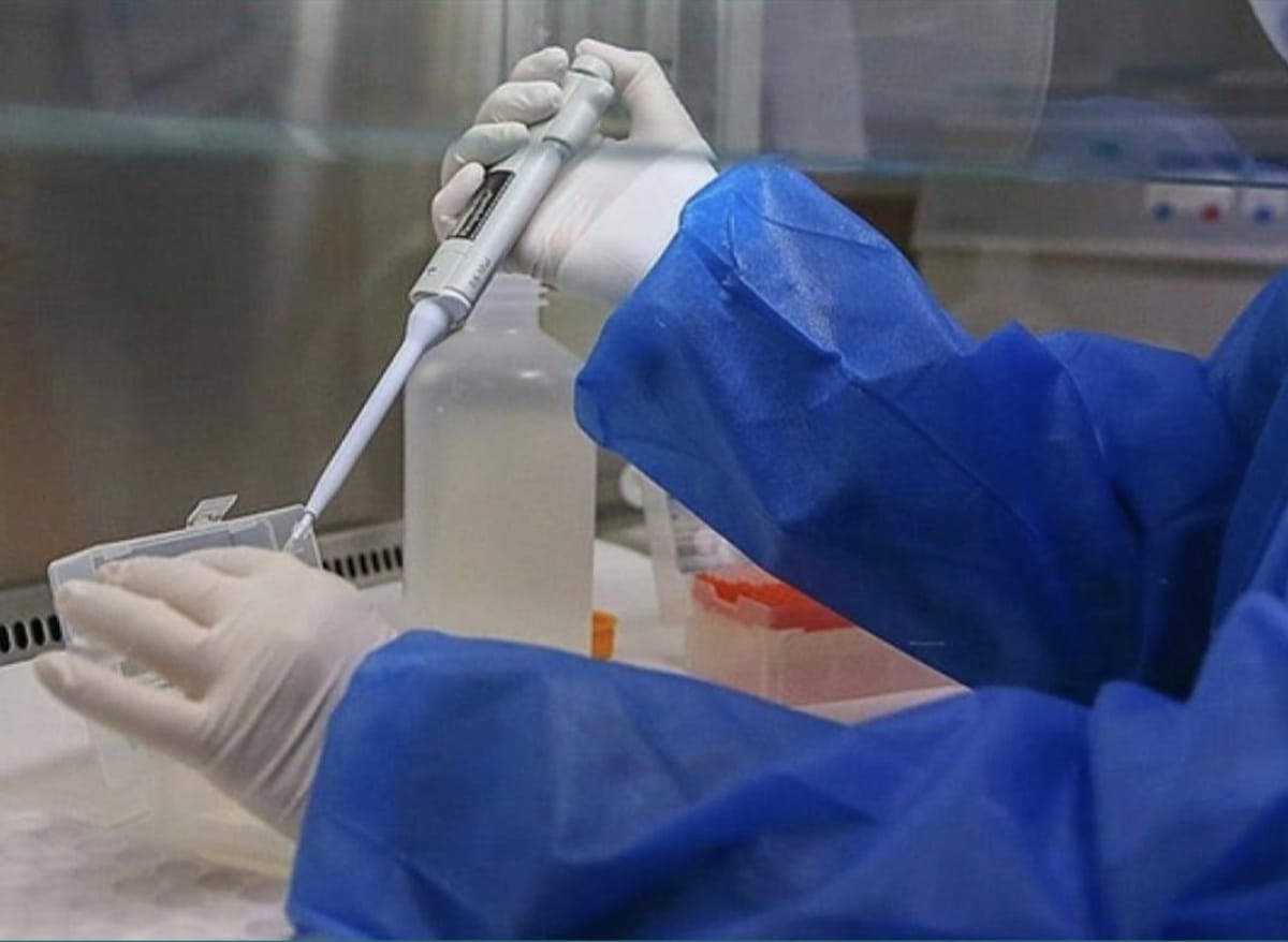 WhatsApp Image 2024-06-29 at 00.39.17.jpeg